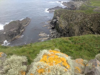 IMG 20190706 111727.jpg Original