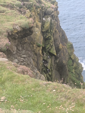 IMG 20190706 111900