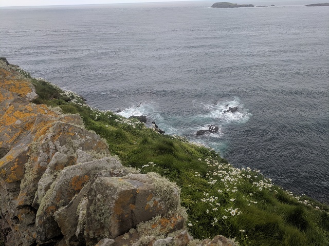 IMG 20190706 113718