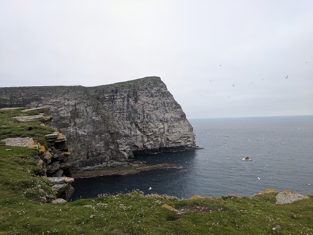 IMG 20190712 113846