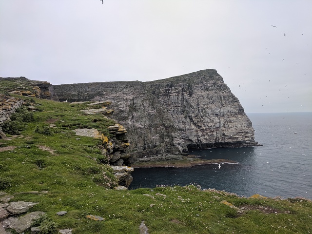 IMG 20190712 113857