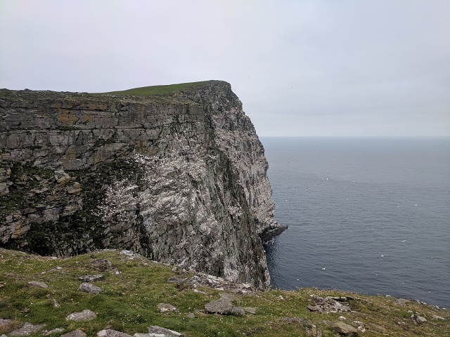 IMG 20190712 114841